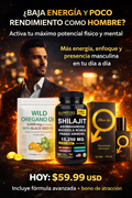 Sistema Protocolo ALFA