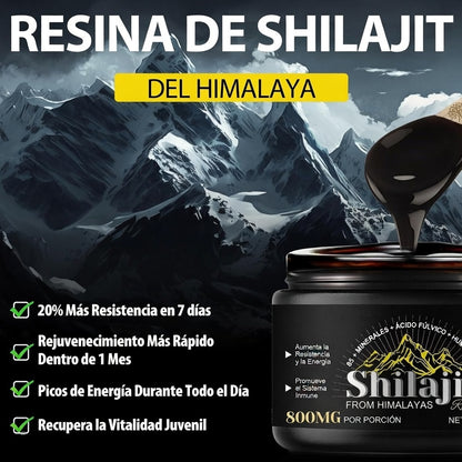 SHILAJIT DEL HIMALAYA EN RESINA 50G