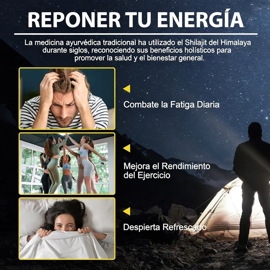 SHILAJIT DEL HIMALAYA EN RESINA 50G