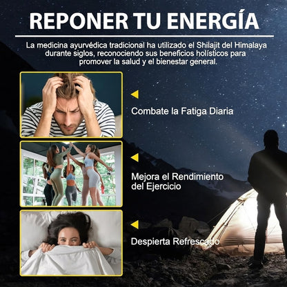 SHILAJIT DEL HIMALAYA EN RESINA 50G